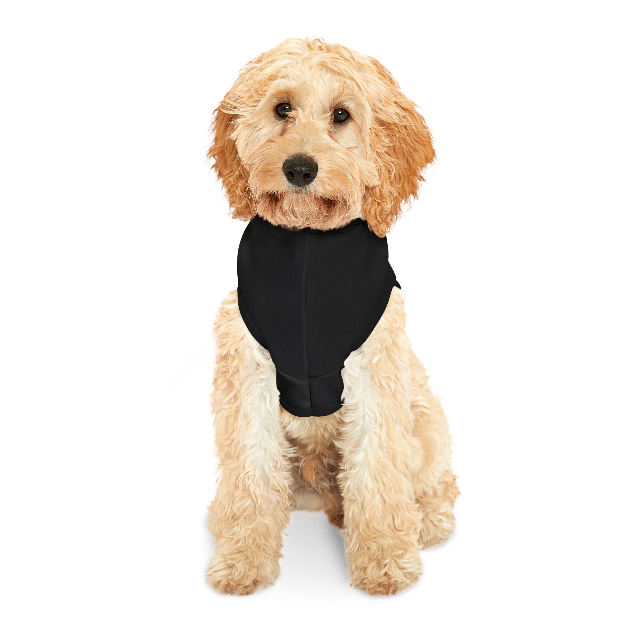 PSA Pet/Companion Hoodie - Black Matters